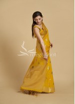 Mustard color Raw/ Dupion silk saree
